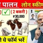 बकरी पालन योजना 2026: ₹3 लाख से ₹50 लाख तक का लोन और भारी सब्सिडी; जानें आवेदन की पूरी प्रक्रिया