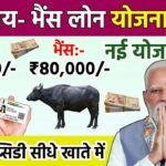 पशुपालन लोन २०२६: गाय-भैंस के लिए ₹१० लाख तक का लोन; जानें सब्सिडी और आवेदन की पूरी प्रक्रिया